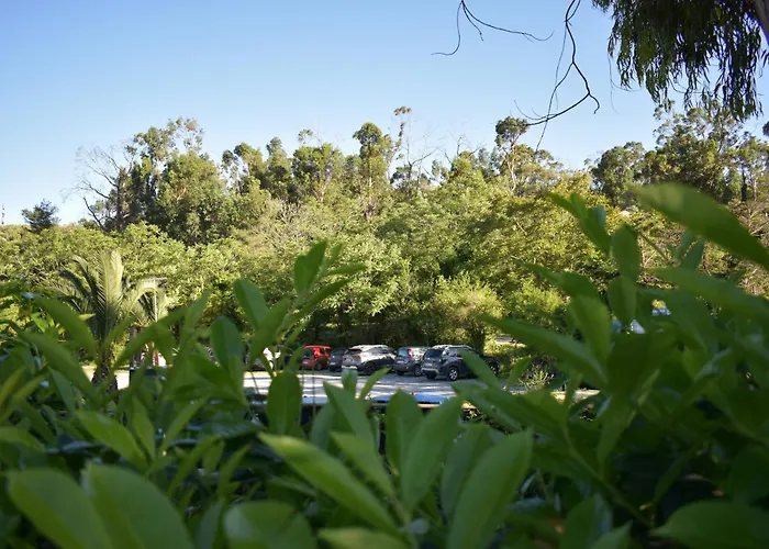 Parco vacanze Oasi Diano Marina